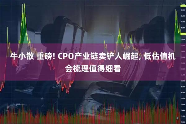 牛小散 重磅! CPO产业链卖铲人崛起, 低估值机会梳理值得细看