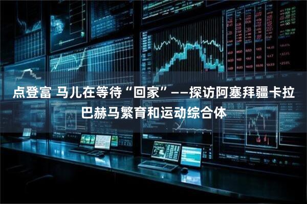 点登富 马儿在等待“回家”——探访阿塞拜疆卡拉巴赫马繁育和运动综合体